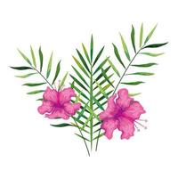 Flores de hibisco de color rosa con ramas y hojas, naturaleza tropical, botánica primavera verano vector