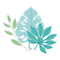 tropical branches with leaves pastel color on white background vector