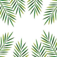frame of branches with leaves tropical, nature concept vector