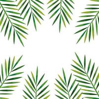 frame of branches with leaves tropical, nature concept vector