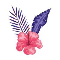 hibiscus beautiful pink color with branches and leaves, tropical nature, spring summer botanical vector