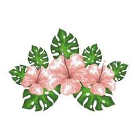 hibiscus flowers with exotic leaves, tropical nature, spring summer botanical vector