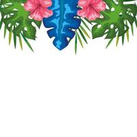decoration of hibiscus flowers with branches and leaves, tropical nature, spring summer botanical vector