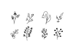 Set of vector sketches and line doodles logo. Hand drawn design elements isolated flowers, leaves, herbs for decoration prints, labels, patterns. Illustration coloring book