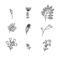 Set of vector sketches and line doodles logo. Hand drawn design elements isolated flowers, leaves, herbs for decoration prints, labels, patterns. Illustration coloring book