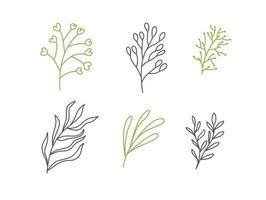 Set of vector sketches and line doodles logo organic. Hand drawn design elements isolated flowers, leaves, herbs for decoration prints, labels, patterns. Illustration coloring book