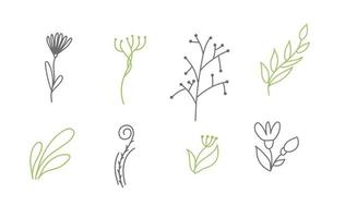 Set of vector sketches and line doodles logo organic. Hand drawn design elements isolated flowers, leaves, herbs for decoration prints, labels, patterns. Illustration coloring book