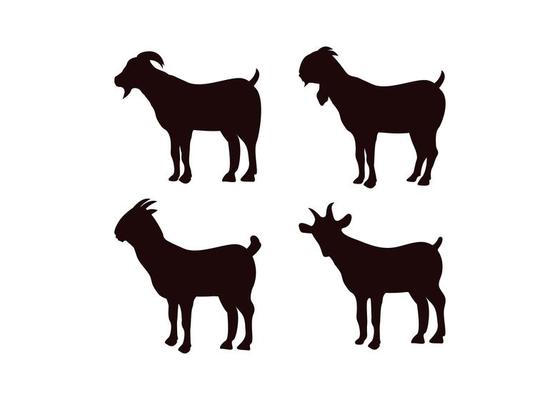 Goat icon design template set
