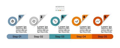 5 steps to show your work, presentation, process, advertisement, education, or business. infographic. vector