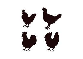 Chicken icon design template vector isolated illustration