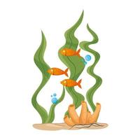 sea underwater life, fishes with seaweed on white background vector