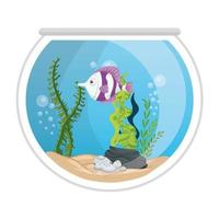 Peces de acuario con agua, algas, mascota marina de acuario vector