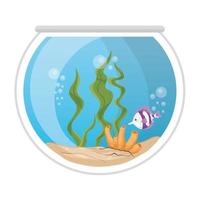 aquarium fish with water,seaweed, coral, aquarium marine pet