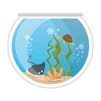 aquarium stingray and tortoise with water, seaweed, coral, aquarium marine pet vector