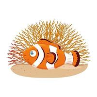 sea underwater life, anemone fish with coral, clownfish on white background vector