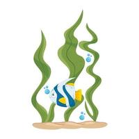 sea underwater life, cute fish with seaweed, on white background vector