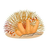 sea underwater life, anemone fishes with coral, clownfish animals on white background