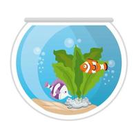 aquarium fishes with water, seaweed, aquarium marine pet vector