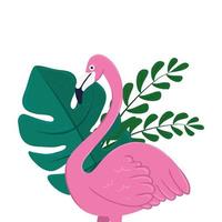 Flamingo con hojas tropicales sobre fondo blanco. vector