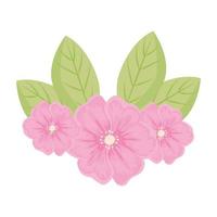 pink flowers with leaves vector design