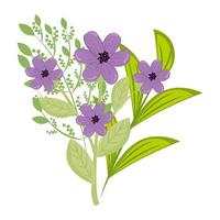 purple flowers with leaves vector design