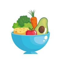 cheese lettuce carrot avocado and apple inside bowl vector design