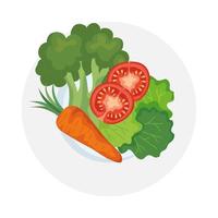 carrot broccoli tomatoes and lettuce vector design