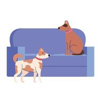 cute dogs pets on couch, in white background vector