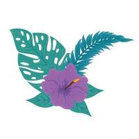 hibiscus beautiful purple color, with branch and tropical leaves, spring summer botanical vector