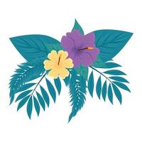 decoration of hibiscus yellow and purple color, with tropical leaves, spring summer botanical vector