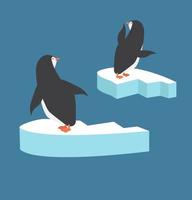 penguin couple on a broken heart shaped ice floe vector