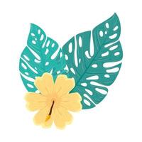 hibiscus beautiful yellow color, with tropical leaves, spring summer botanical vector