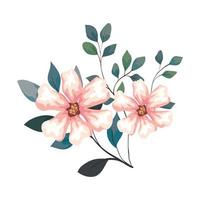 flowers with branches and leaves, on white background vector