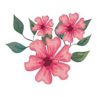 flowers pink color with branches and leaves, on white background vector