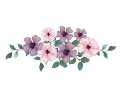 flowers pink and lilac color with branches and leaves, on white background vector