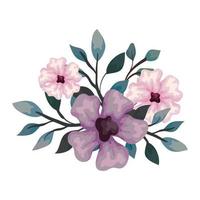 flowers pink and lilac color with branches and leaves, on white background vector