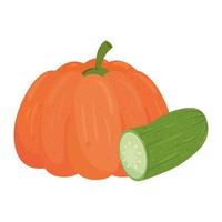 fresh vegetables, pumpkin with cucumber, in white background vector