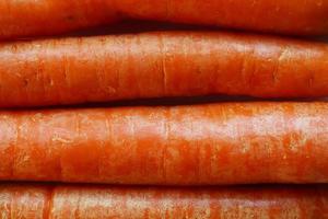 Raw orange carrots photo