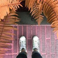 Person Wearing Silver Sneakers In Front Of Brown Ferns photo