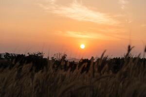 Landscape in Thailand at sunrise photo