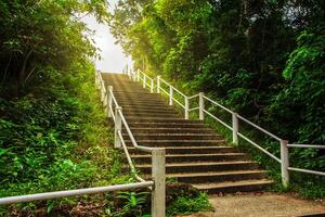 Stairs in the forest photo