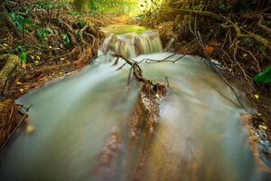 cascadas en la naturaleza foto