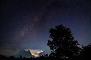 silueta de un árbol en la noche foto