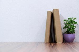 Books on the desk photo