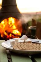 Smores by the fire photo