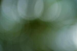 Green bokeh background photo