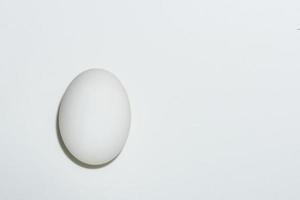 huevo de pato sobre fondo blanco foto