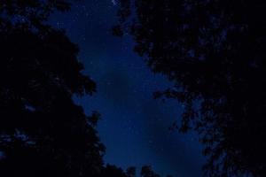 estrellas de noche foto