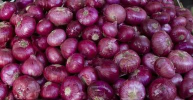 Group of red onions photo