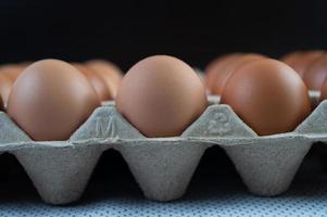 huevos de gallina colocados en una bandeja de huevos foto